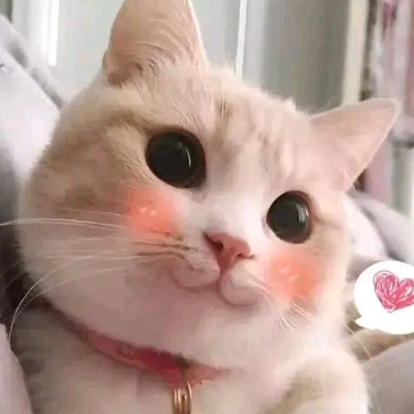 @梦想
