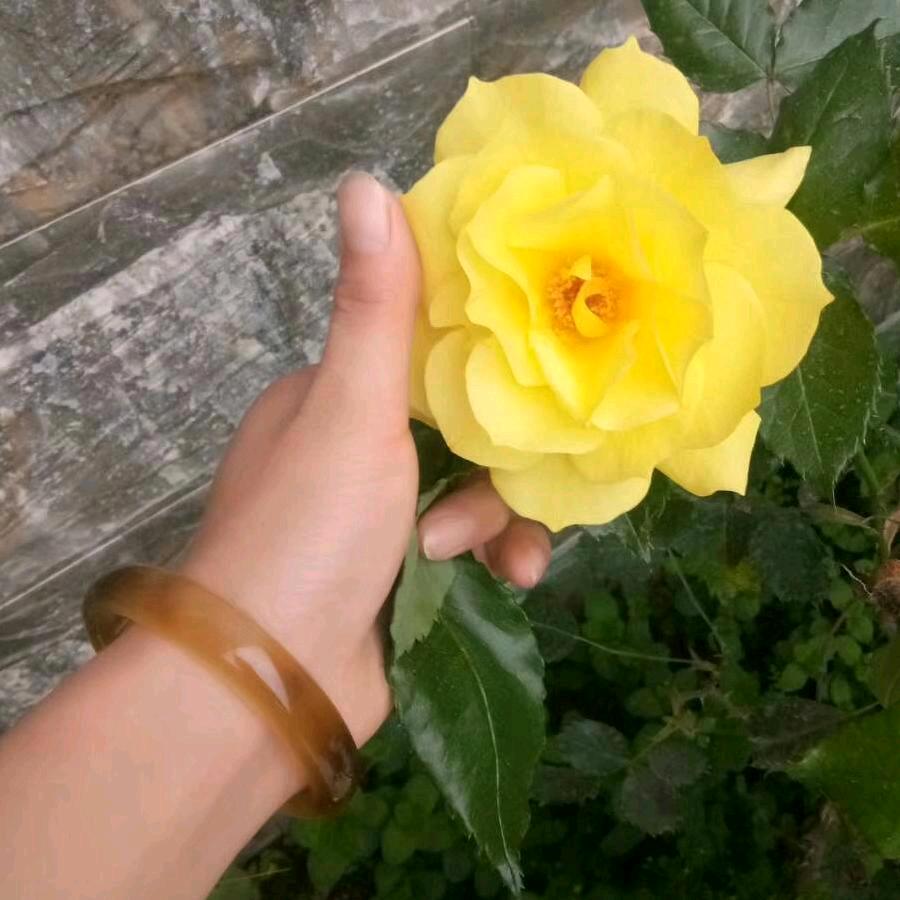 🌿Smⅰle🍀