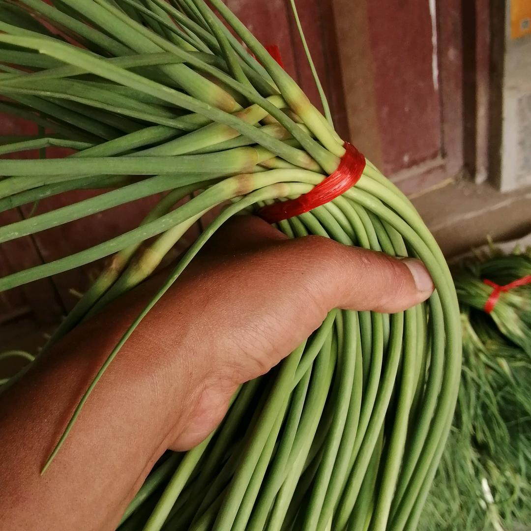 有付出就有收获