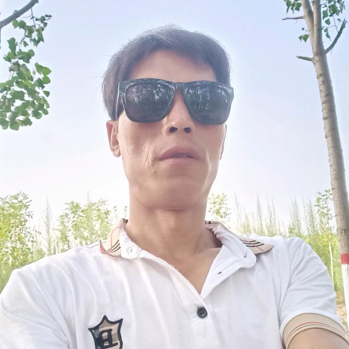 铺砖的快乐马