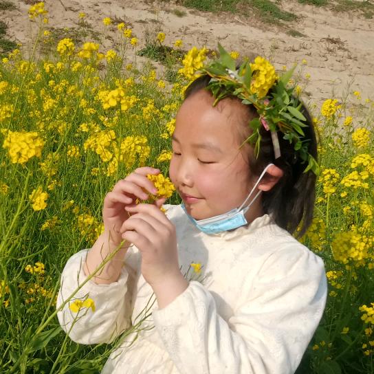 静听花开