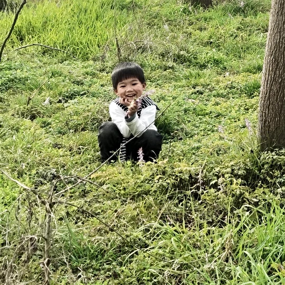 卖电器的小笛子