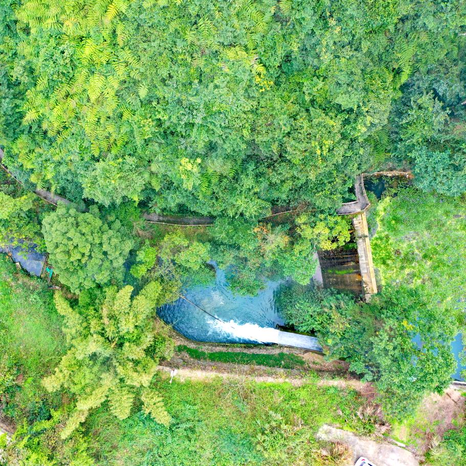 大王岭原始森林漂流露营景区