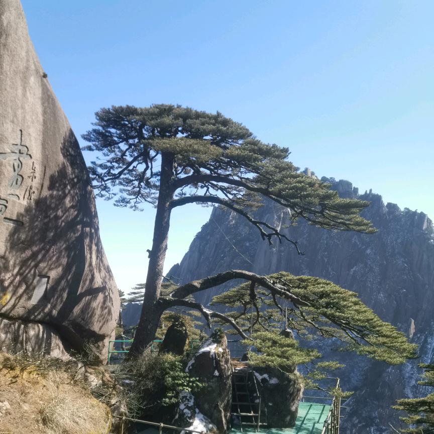 说再多不如沉默°