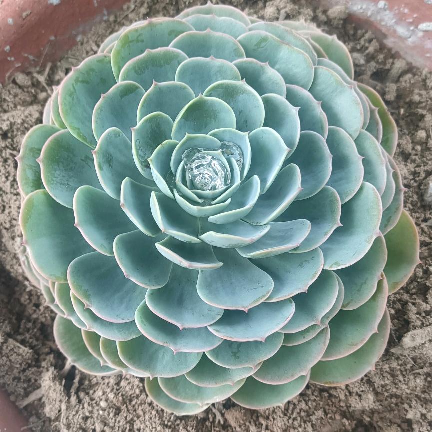 青春输给了时间