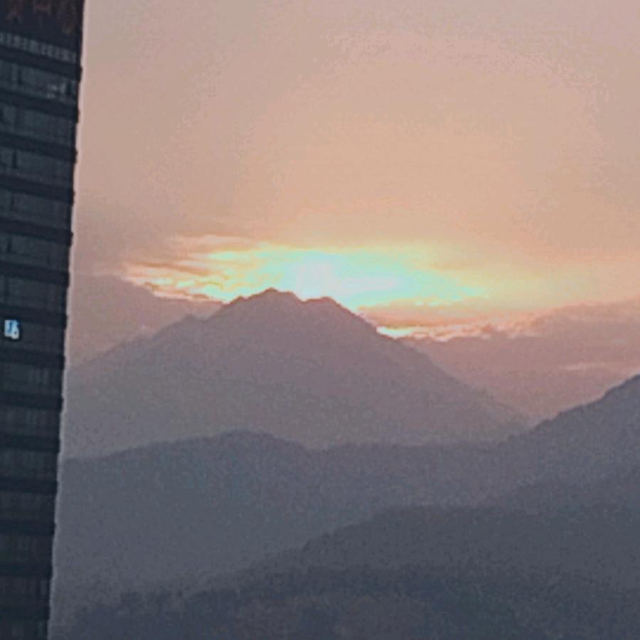 清风与鹿14