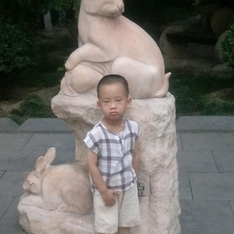 常年收购各种羊，董闷闷