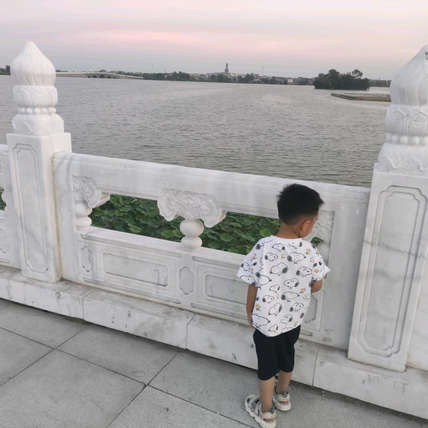 明月几时有，把酒喝一周。