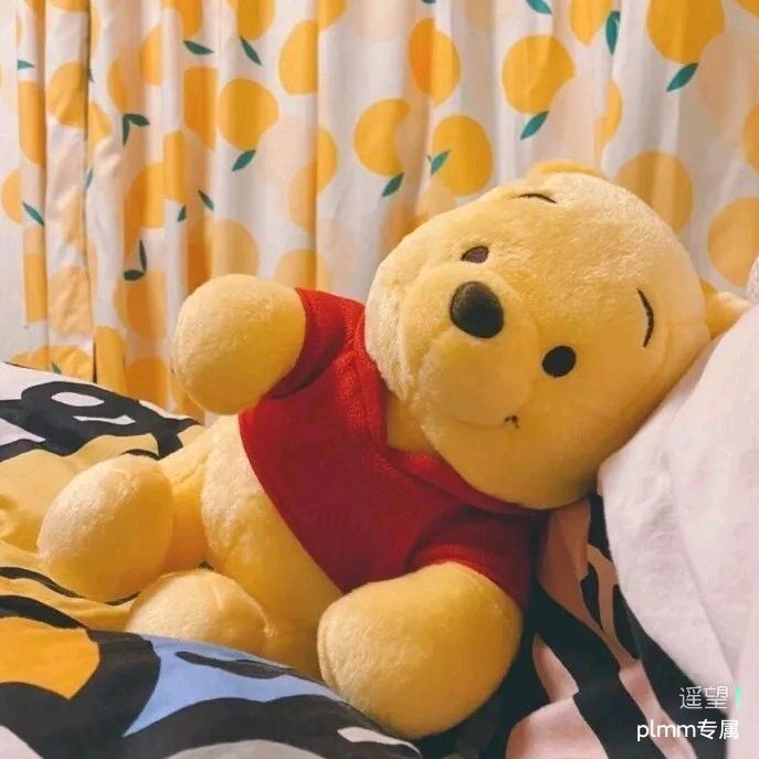 💓菠萝屋里的派大星💓