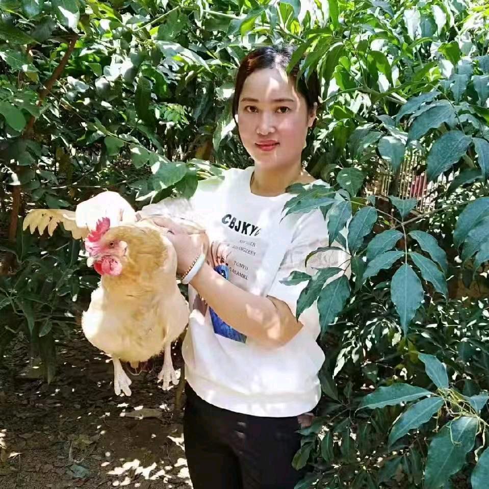 客家妹（阿金）