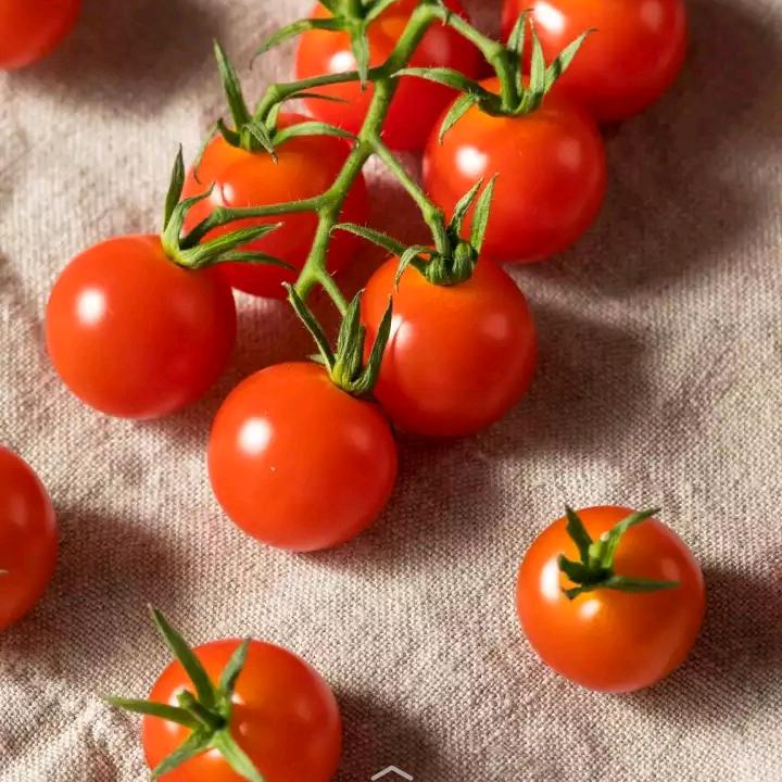 红哥