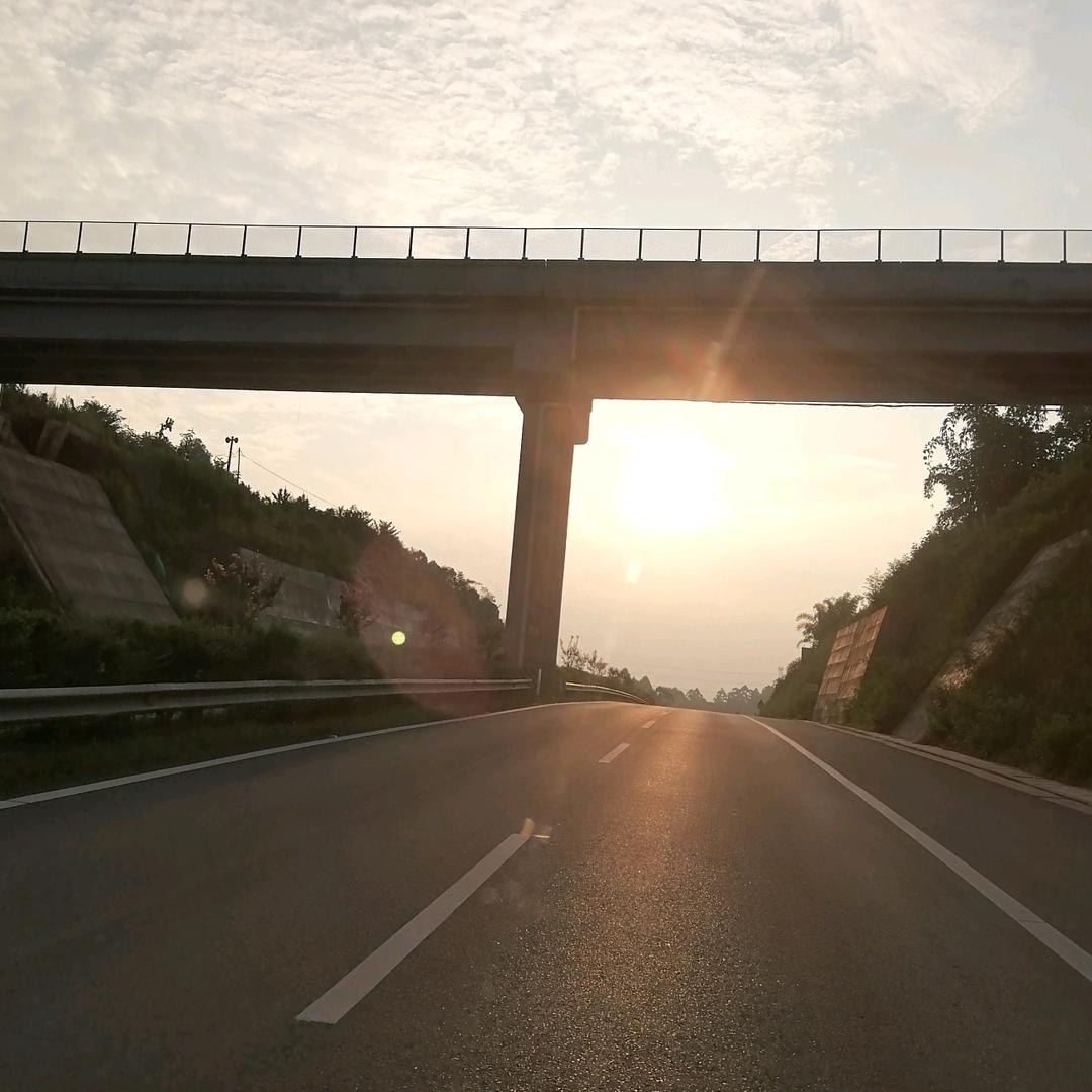 贝时·霍盖
