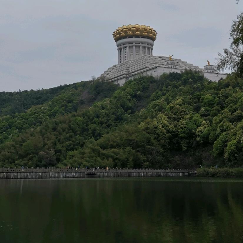 逆风飘扬