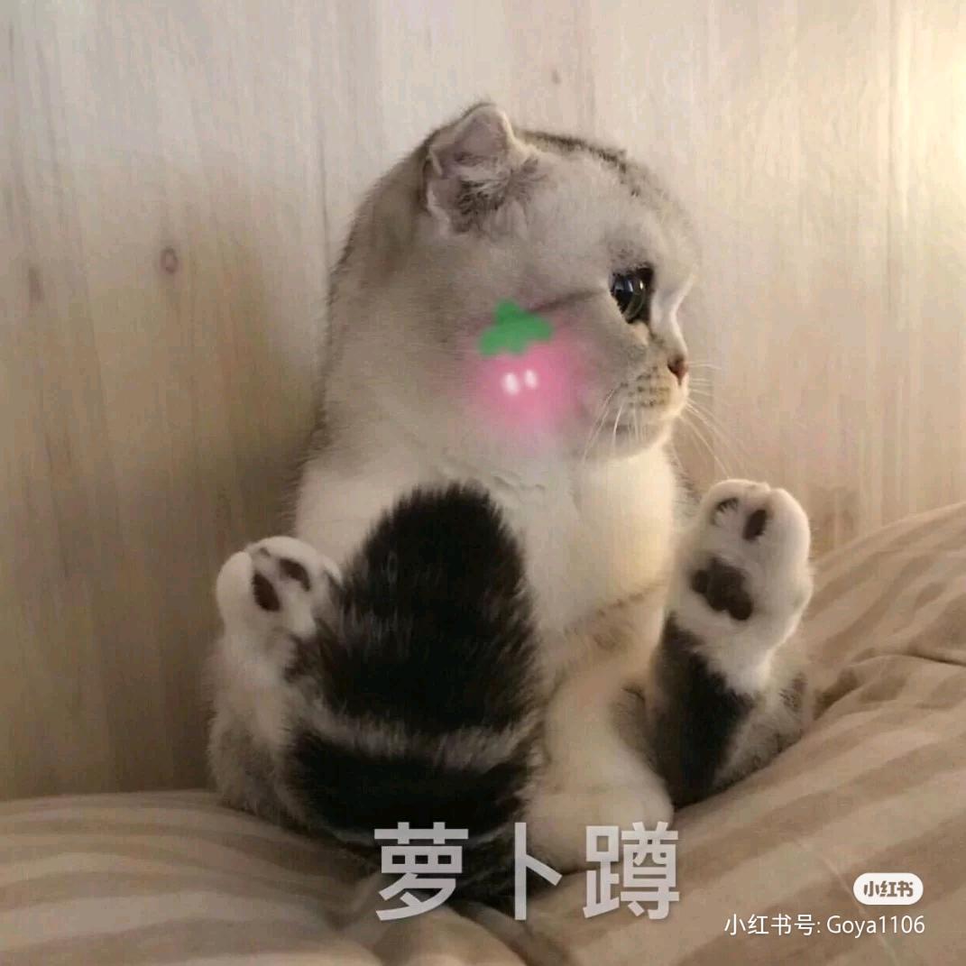 放羊的娃儿