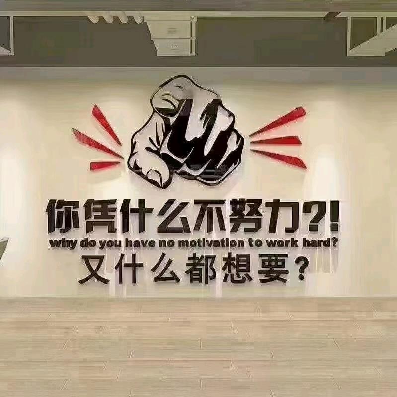 追风筝的人~