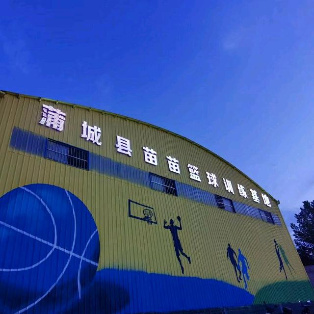 蒲城苗苗篮球训练基地官方号
