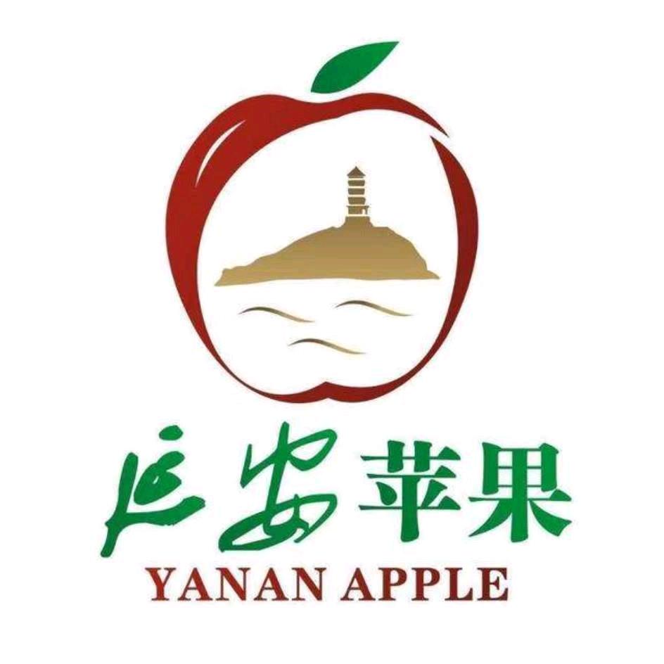 稻田生鲜（洛川苹果）