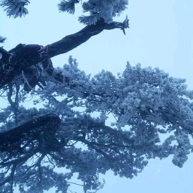 ꦿ℘🐭¹⁹₈₄໌💞࿐