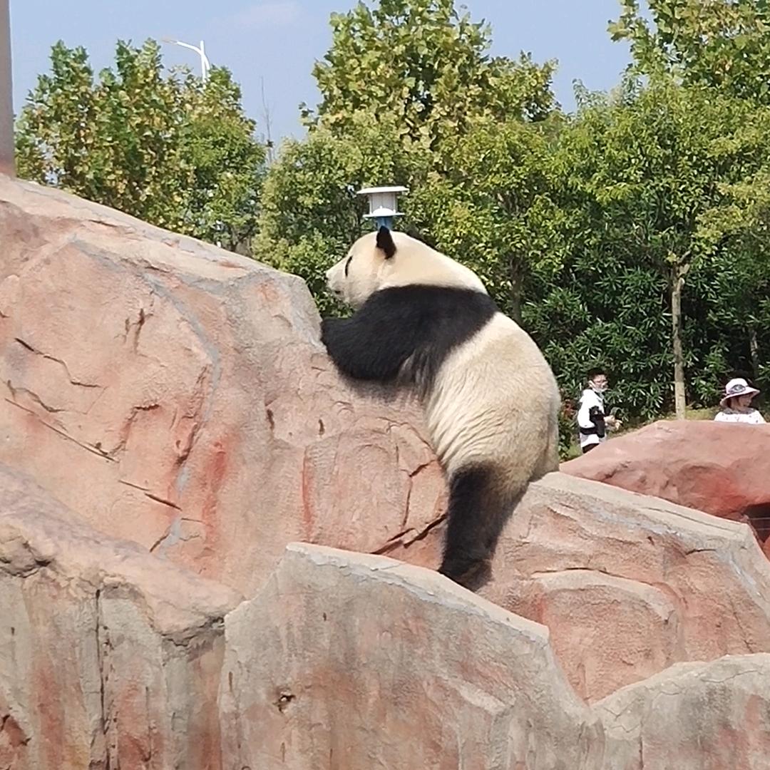 🔥᭄笑敬过往