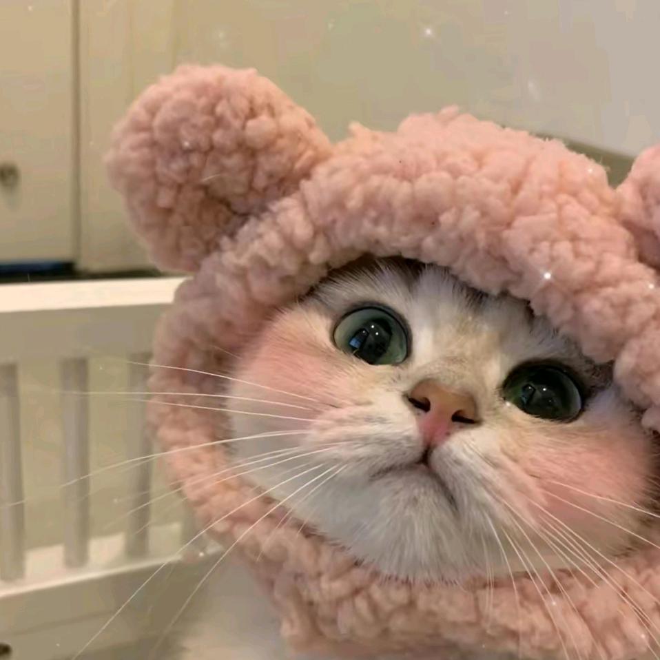 miao
