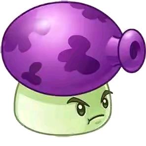 🟣🟣🟣🟣🟣🟣  🟣