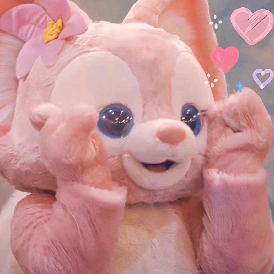 不爱胡萝卜的丸子