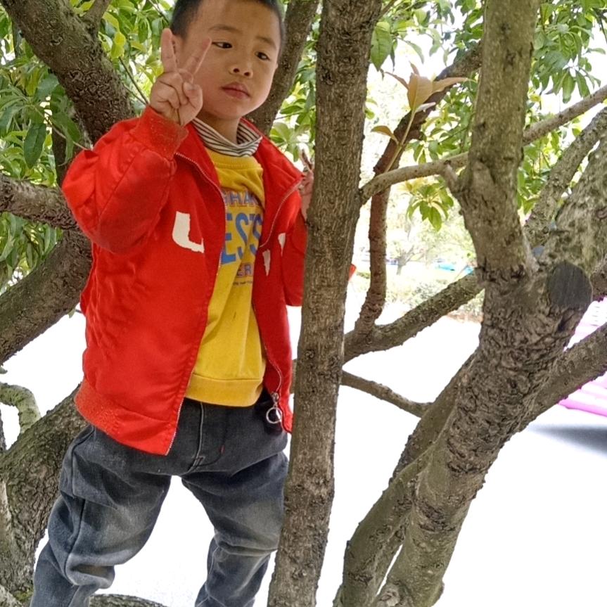 饶