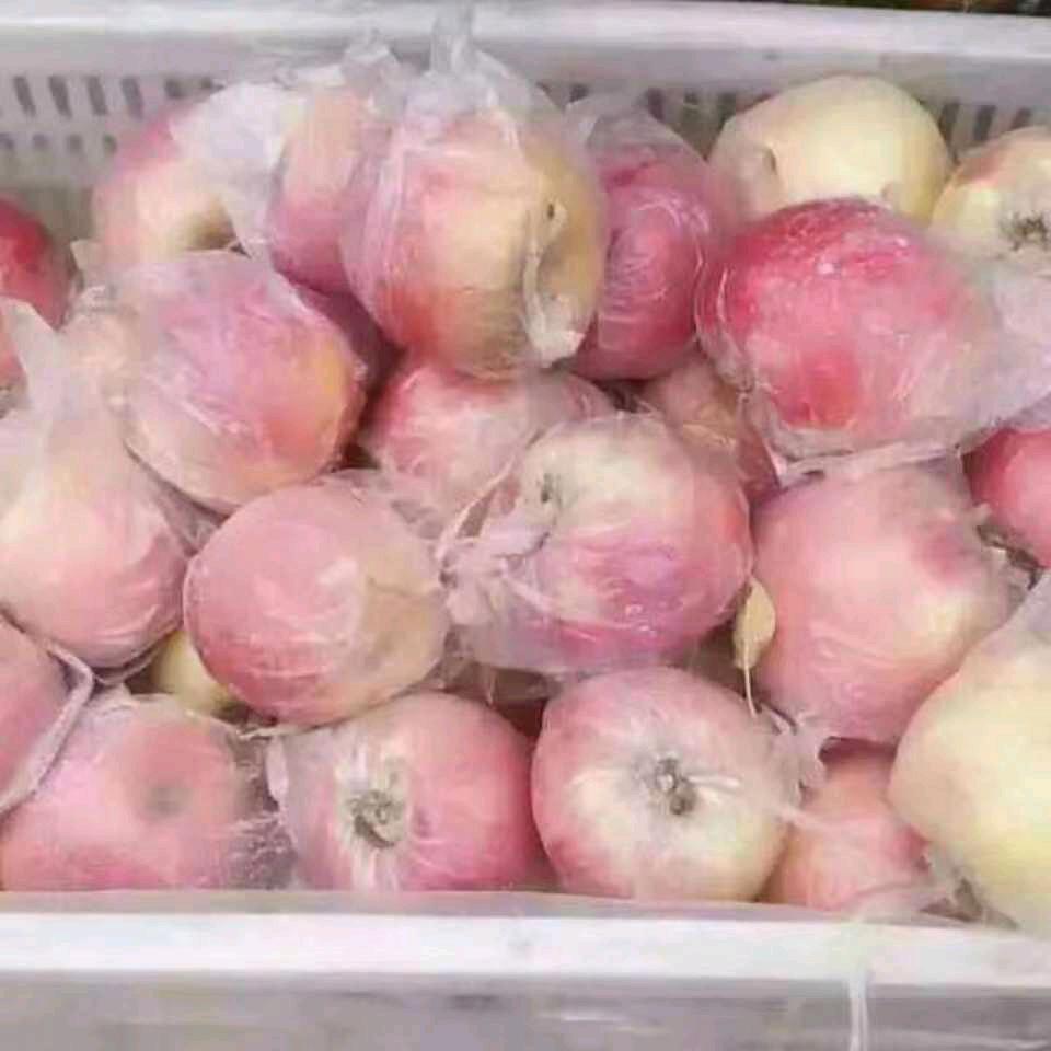 豫东红富士苹果