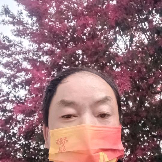 老有所乐