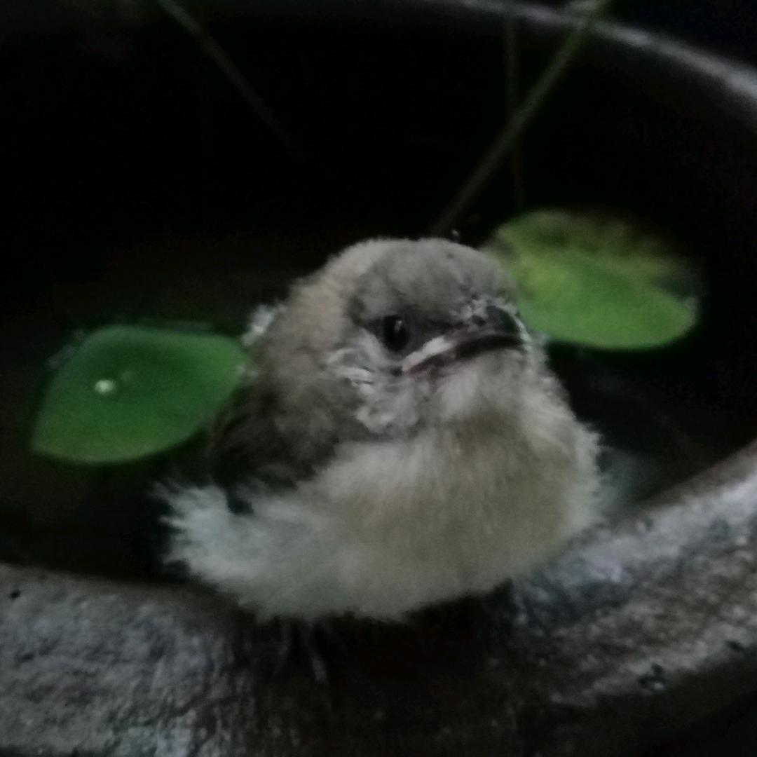 有木有缘