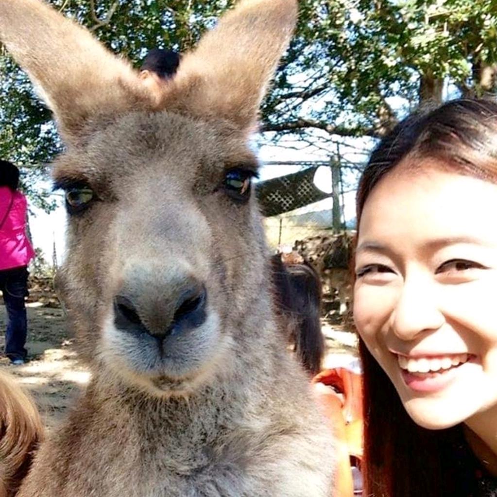 飞不动也要飞的王尤妮