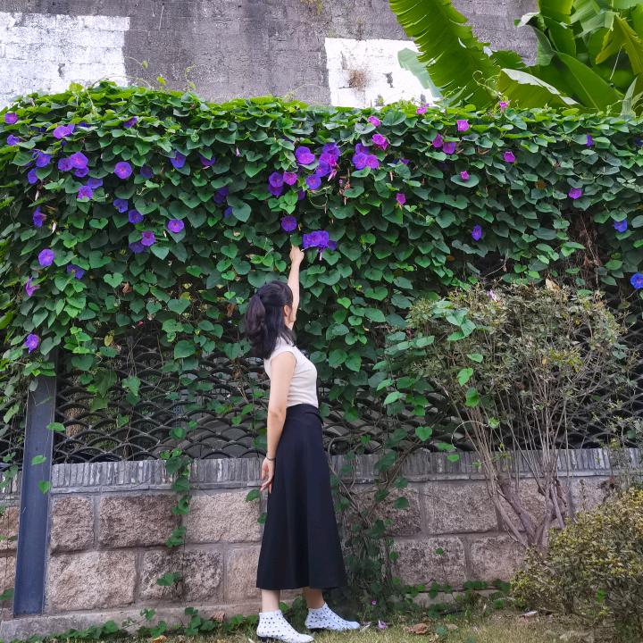 汇恒茶业（孟河镇富平路36号）