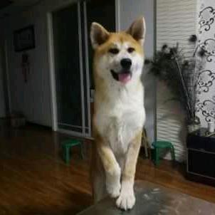 用户9542971516261