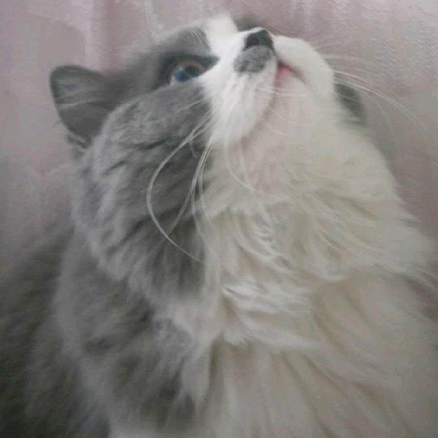 一三