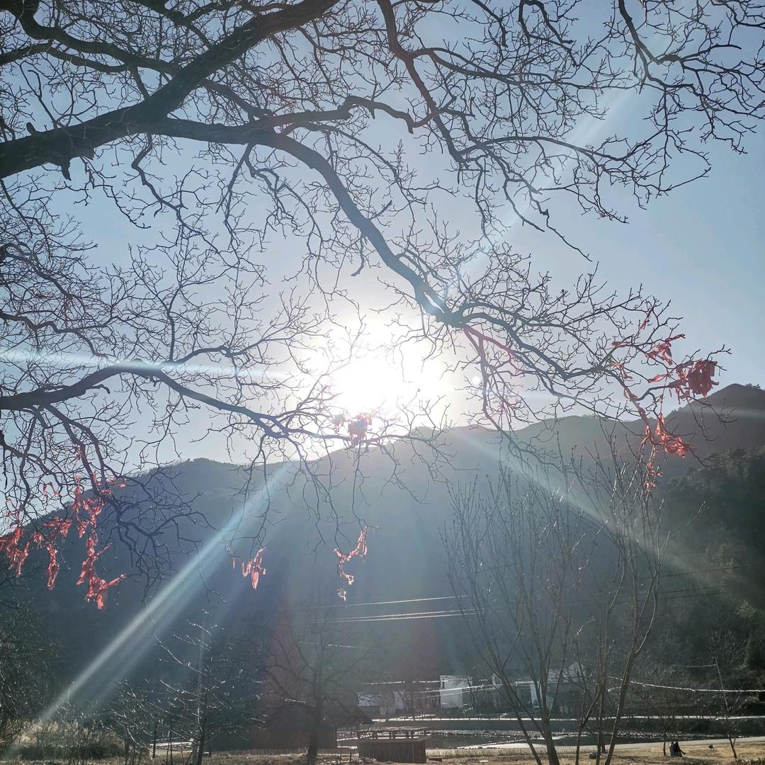 白云苍狗