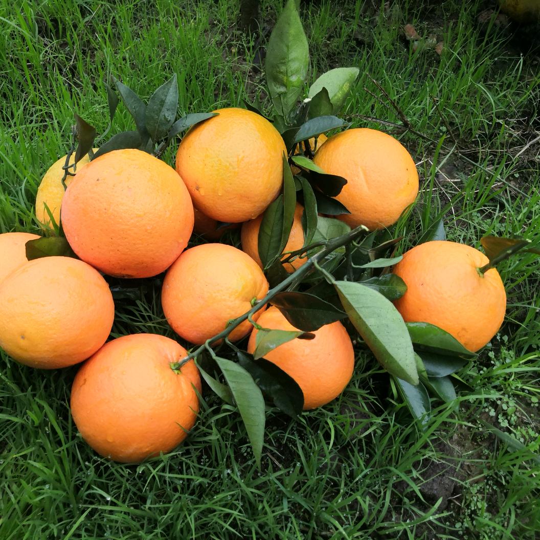 溆浦恒惠电摩配