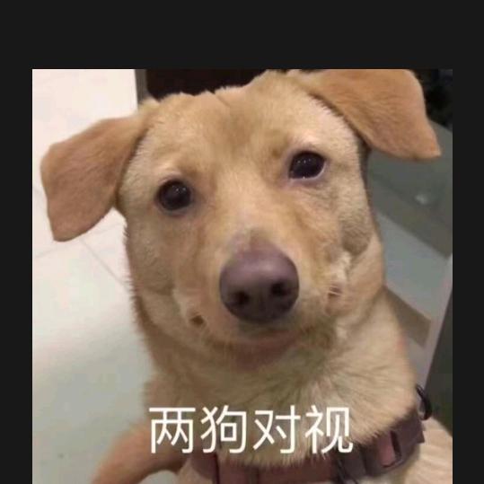 恰恰耐悠