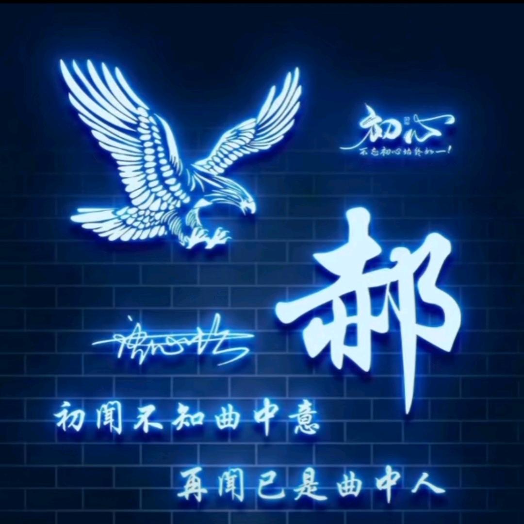 啊飛的装修日记@