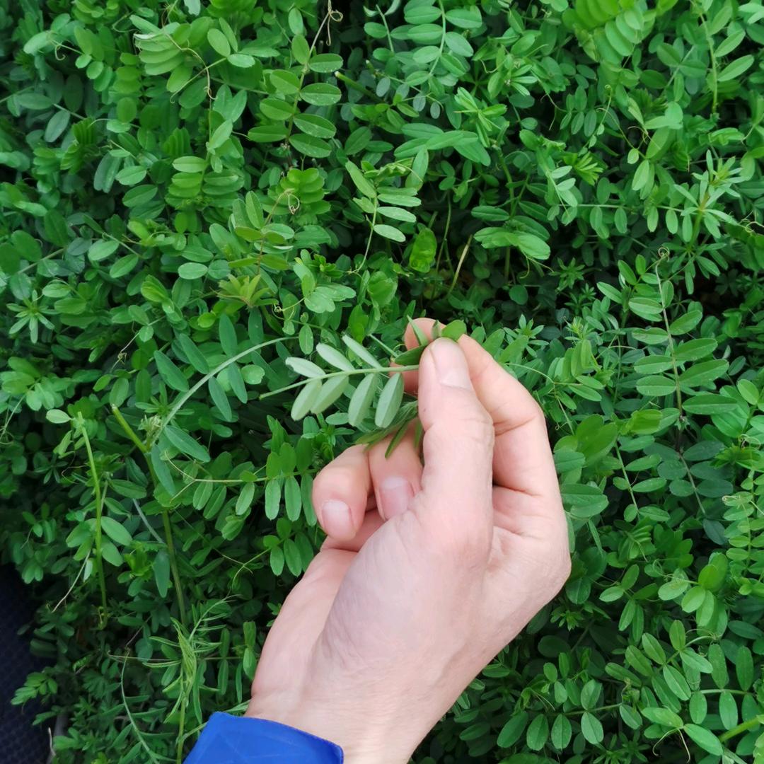 🌈大王故事🌈