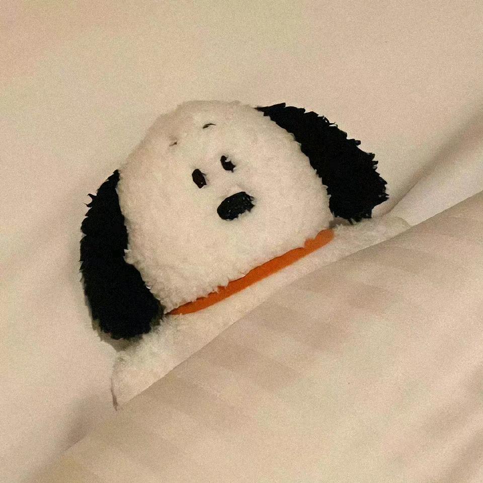 不吃土豆