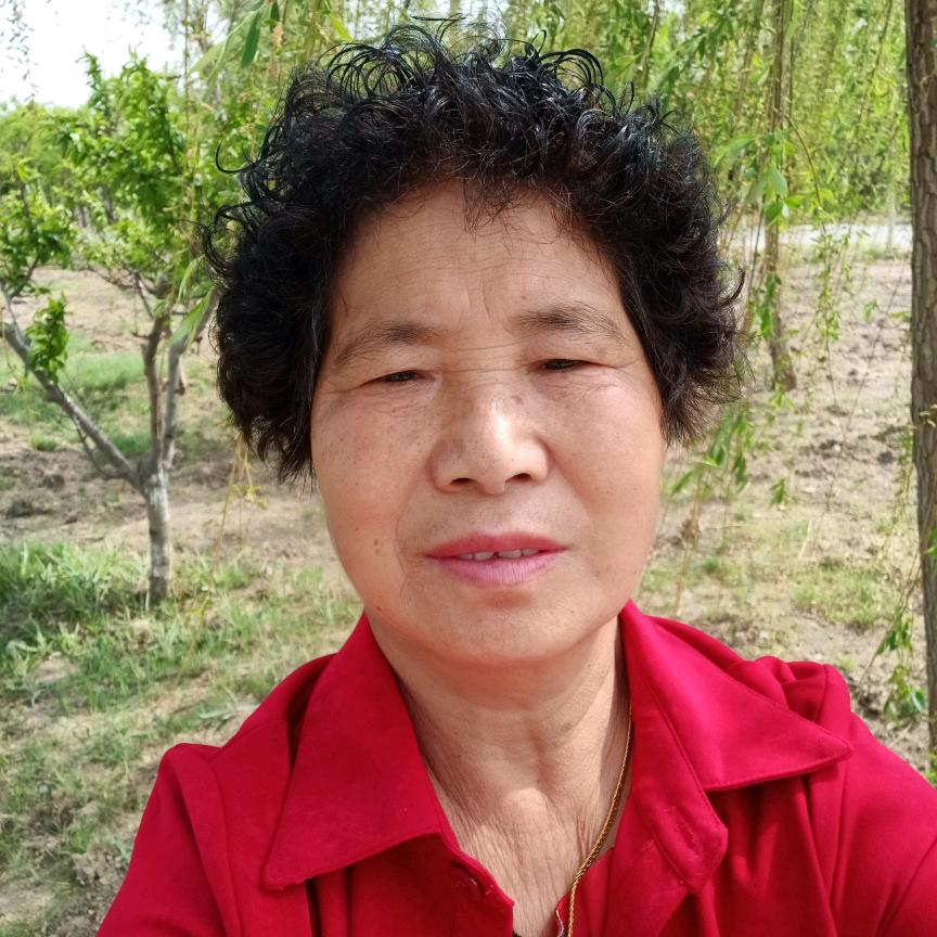 高女士