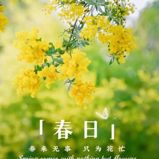 雨后彩虹