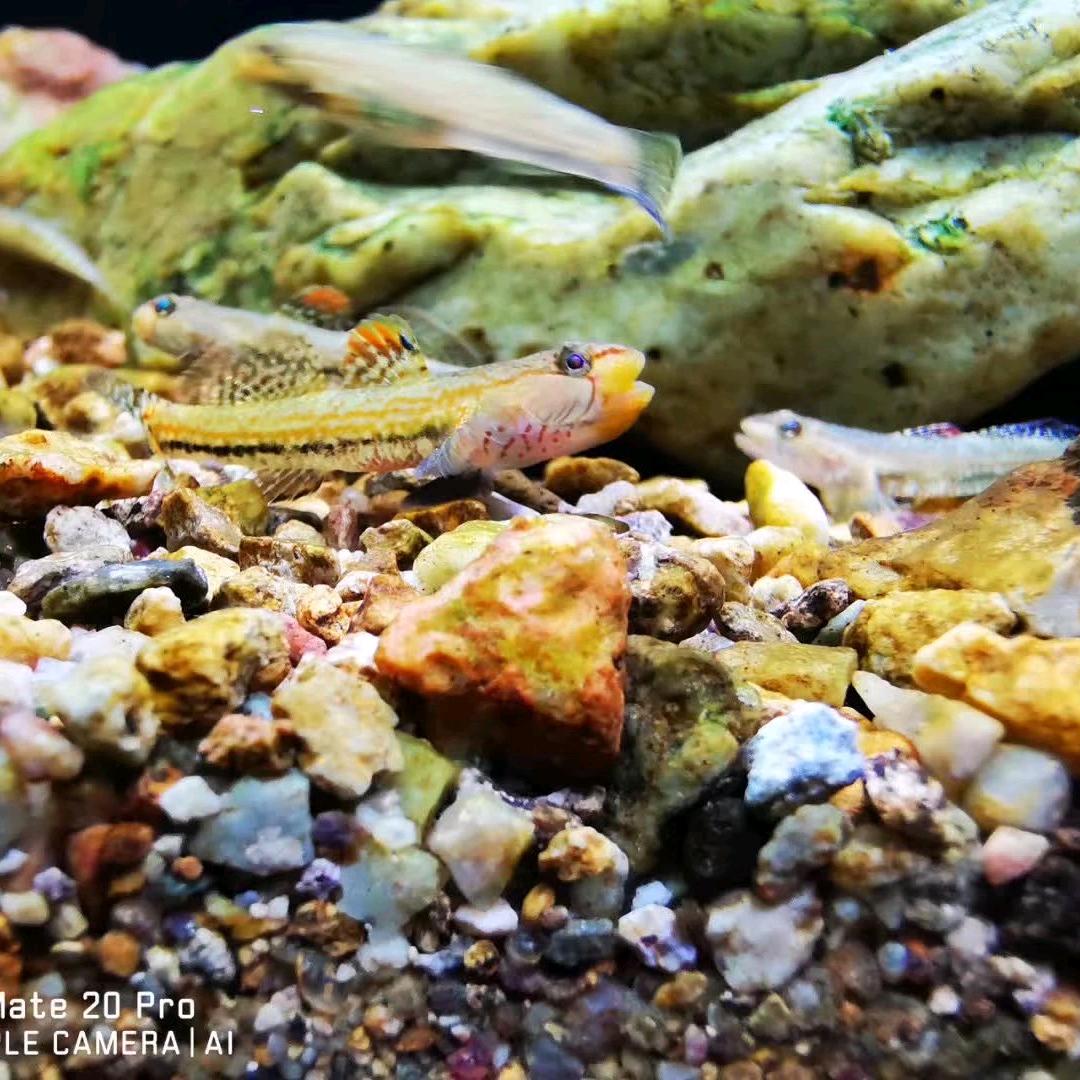 原生态水族体验馆