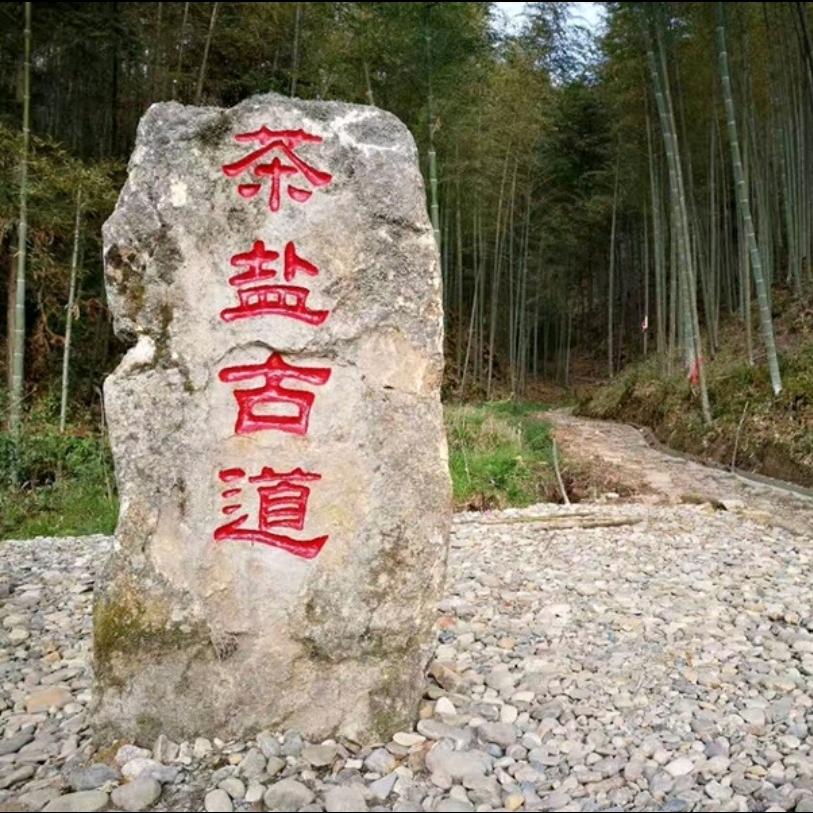 心   静