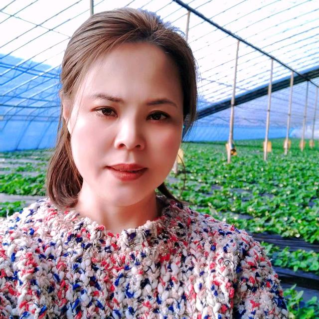 沈阳市沈北新区悠然草莓采摘农场