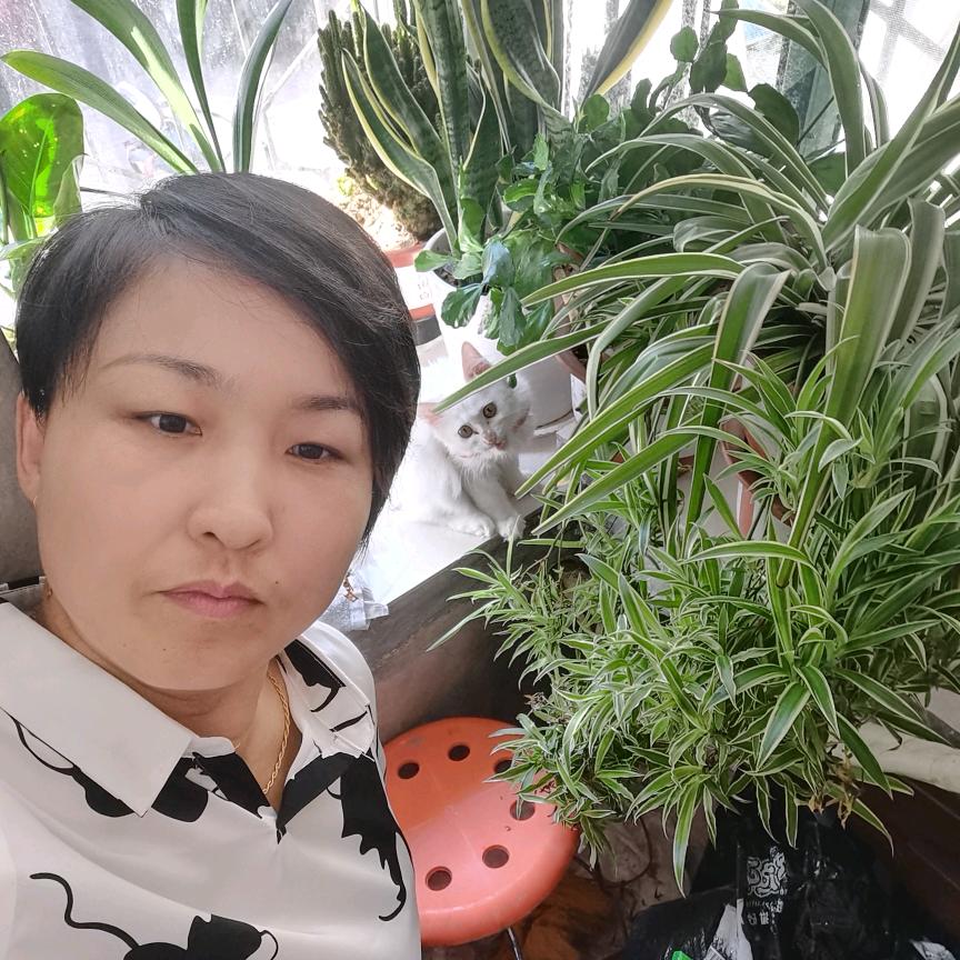 路过中年