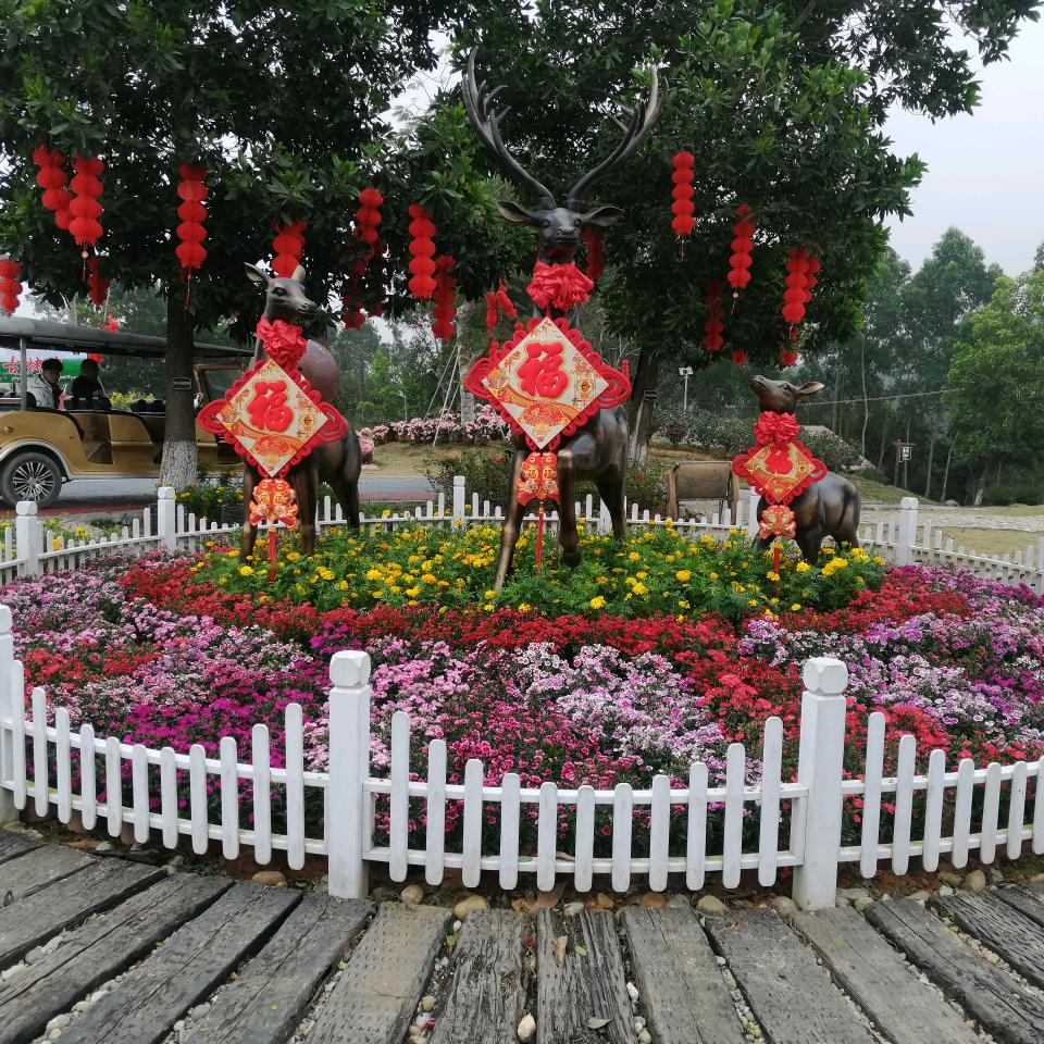 万水千山总是情