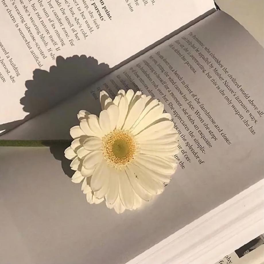 ×