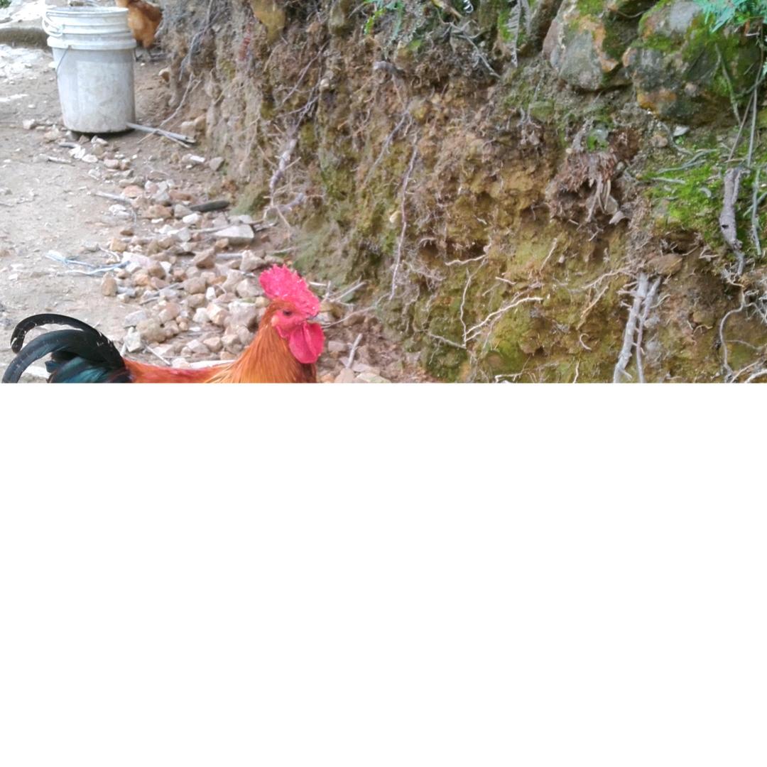 王永建民会