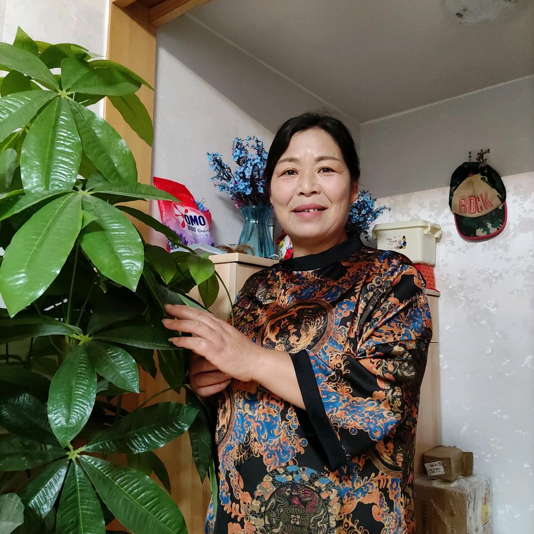 小鸽子